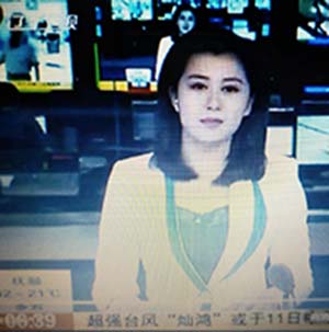 <strong><font color=